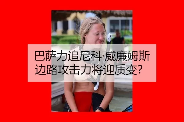 ba-sa-li-zhui-ni-ke-wei-lian-mu-si-bian-lu-gong-ji-li-jiang-ying-zhi-bian-2-953.jpg